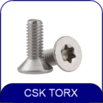 CSK TORX HEAD SCREW